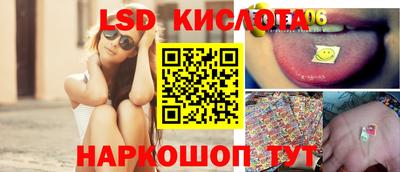 прущие грибы Будённовск