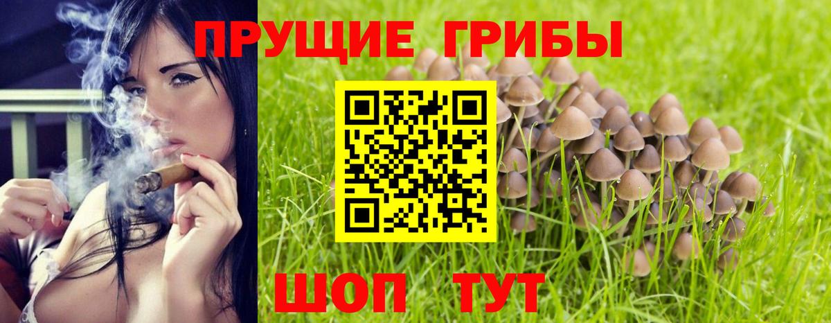 Псилоцибиновые грибы Cubensis Махачкала